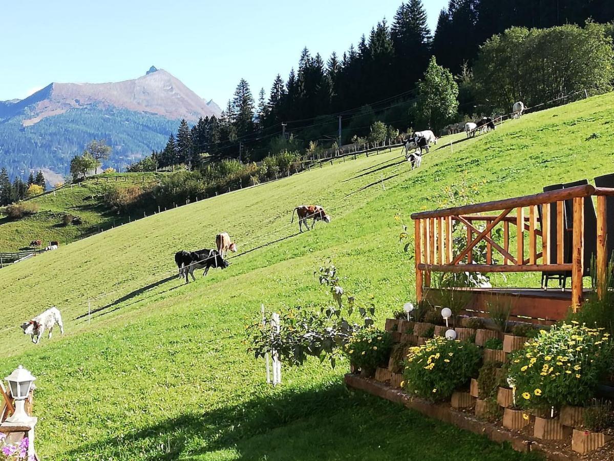 Urlaub Am Krausberghof, Apartment Mit Balkon Und Parkplatz, Inmitten Der Natur, Sauna Und Infrarotkabine, Kostenfreie Kaffeekapseln, 6 Fahrminuten Zur Alpentherme Gastein Und Zur Schlossalmbahn, Spielplatz Bad Hofgastein Buitenkant foto