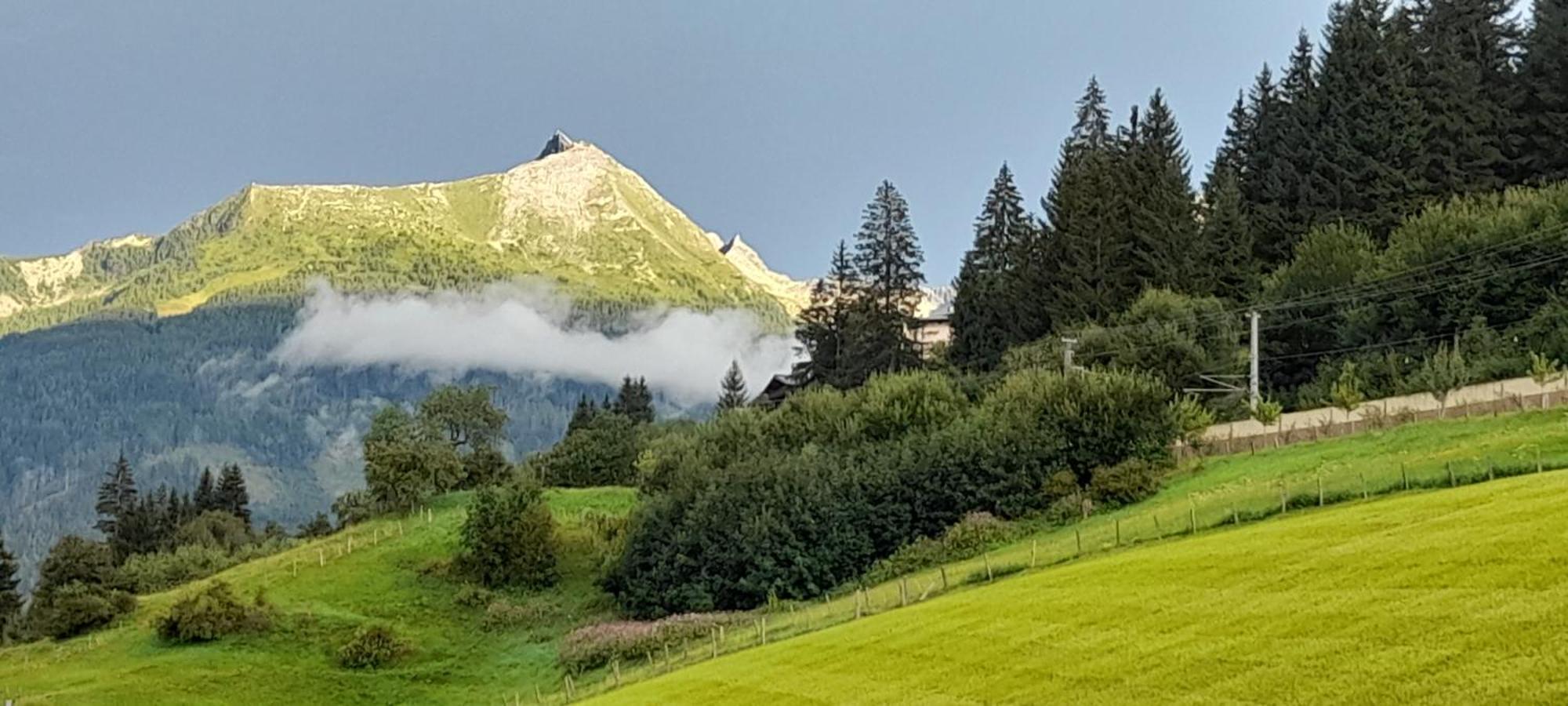 Urlaub Am Krausberghof, Apartment Mit Balkon Und Parkplatz, Inmitten Der Natur, Sauna Und Infrarotkabine, Kostenfreie Kaffeekapseln, 6 Fahrminuten Zur Alpentherme Gastein Und Zur Schlossalmbahn, Spielplatz Bad Hofgastein Buitenkant foto