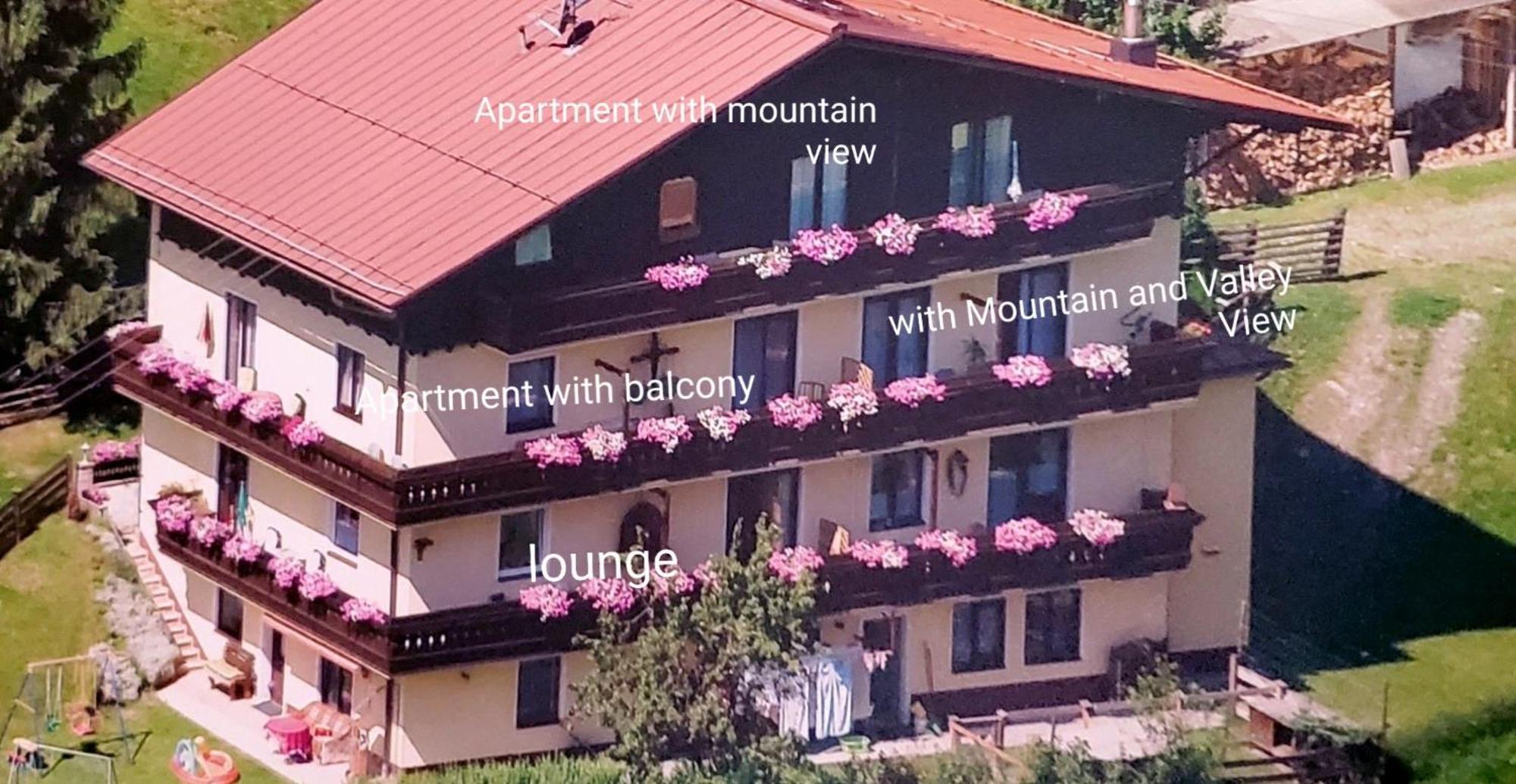 Urlaub Am Krausberghof, Apartment Mit Balkon Und Parkplatz, Inmitten Der Natur, Sauna Und Infrarotkabine, Kostenfreie Kaffeekapseln, 6 Fahrminuten Zur Alpentherme Gastein Und Zur Schlossalmbahn, Spielplatz Bad Hofgastein Buitenkant foto